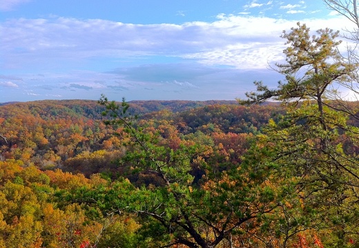 Natural Bridge State Park